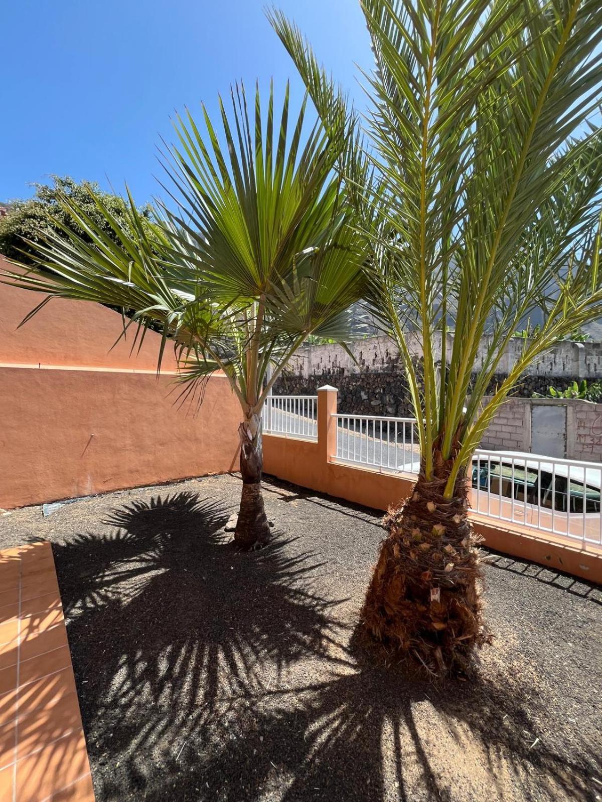 Chalet Piscina Privada Max 26º Jardin, Tranquilidad Caleta de Interián Eksteriør bilde
